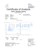 NAD+ - Image 3